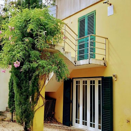 Villa Casa Amarante Porto Exterior foto