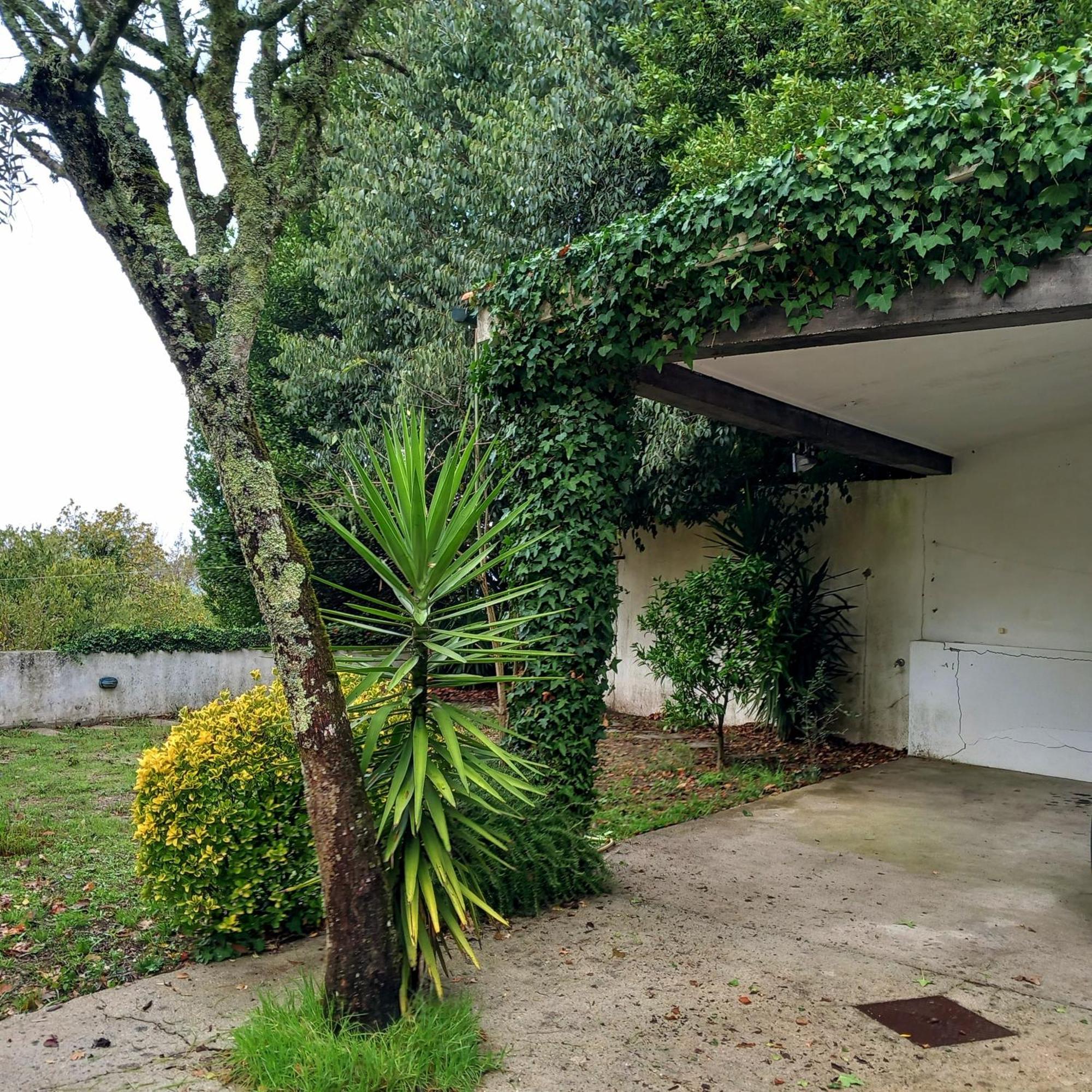 Villa Casa Amarante Porto Exterior foto