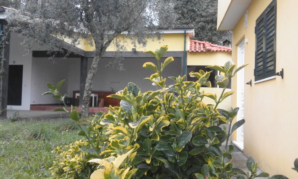 Villa Casa Amarante Porto Exterior foto